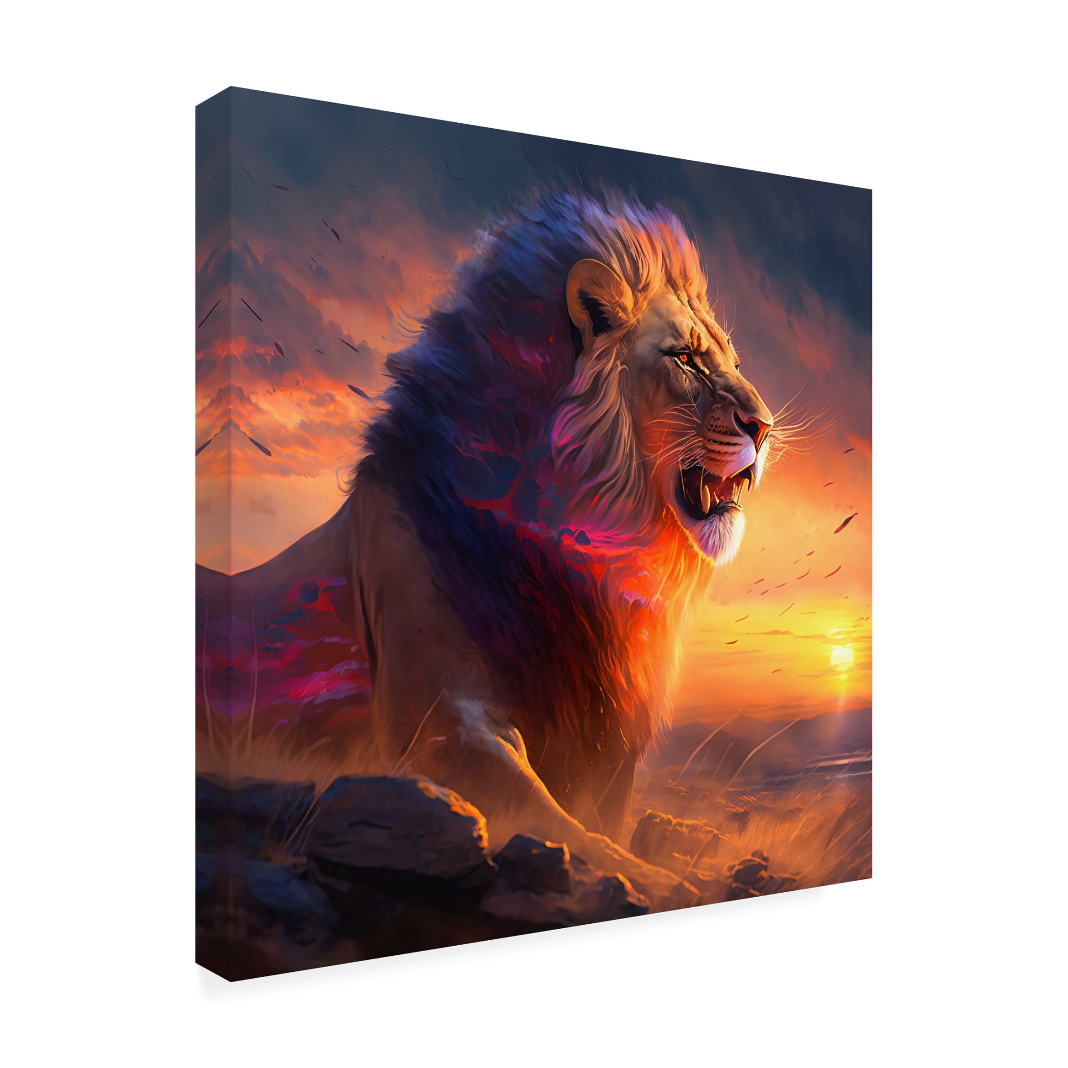 Canvas Wall Art - Ray Heere 'Desert Of Dreams 15' Wall Art for Living Room, Bedroom, or Office Décor by Trademark Fine Art - 14 x 14 Inches