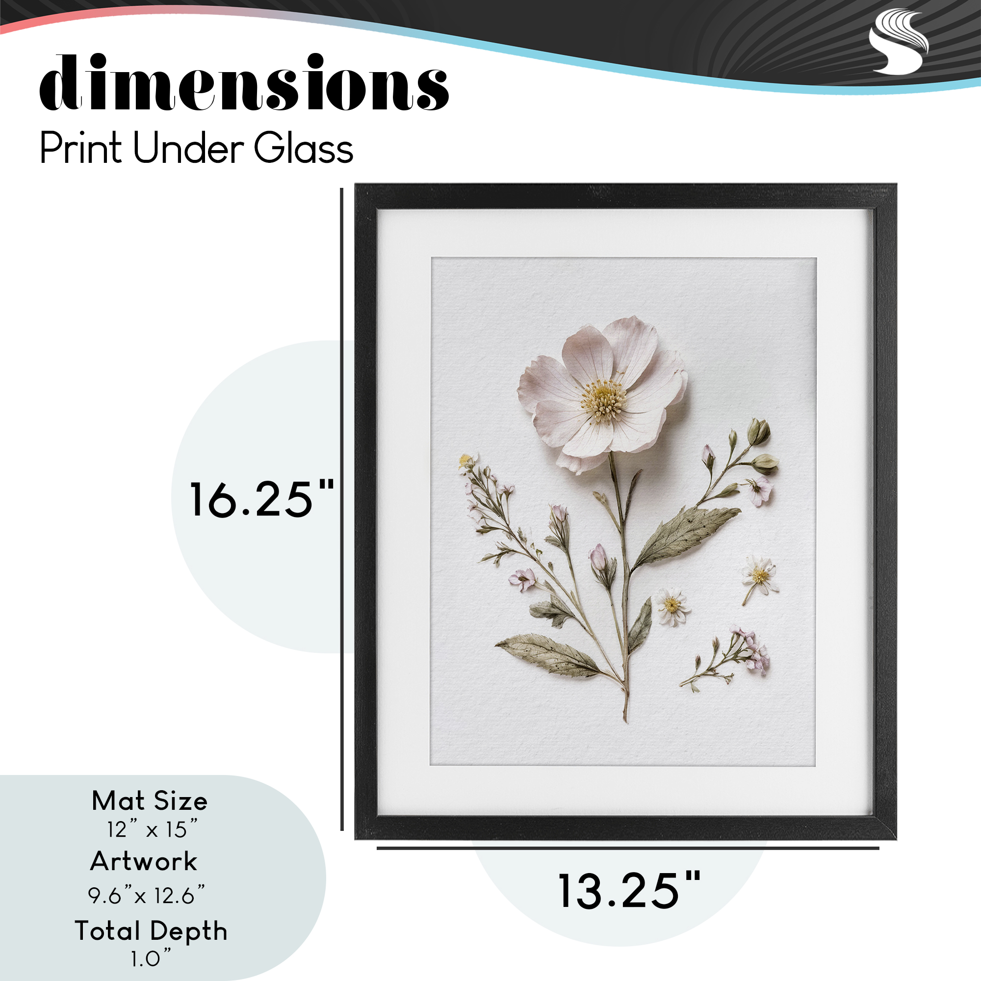 Pressed Wild Flowers Black Framed Print Under Glass, design by Lettered and Lined