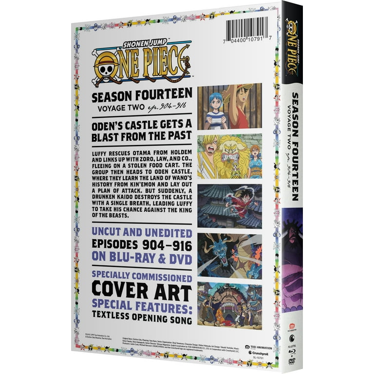 BOA BOA VOYAGE DVD セット One Piece: Season 14 Voyage 2 (Blu-ray + DVD) New - Walmart.com