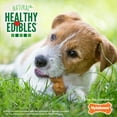 thumbnail image 5 of Nylabone Healthy Edibles Dino Dudes Natural Long Lasting Dog Chew Treats Small - Up to 25 lbs. (15 Count), 5 of 10