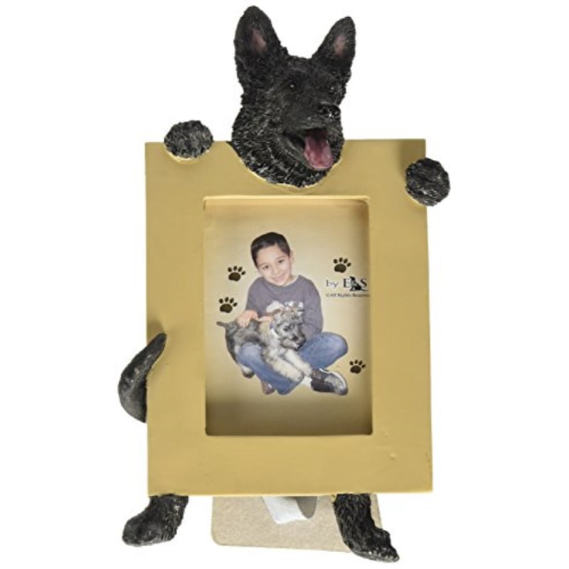 E&S Pets 35315-75b Small Dog Frame