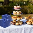 thumbnail image 4 of WELLIFE FESTIVE 200 Pcs Deep Blue Glitter Dessert Plates, Plastic Square Plate Includes 100 Dessert Plates & Forks for Wedding, Party, 4 of 7