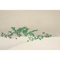 thumbnail image 3 of Sekka, Kamisaka 14x11 Black Modern Framed Museum Art Print Titled - Green plants from Momoyogusa, 3 of 5