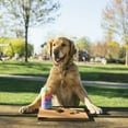 thumbnail image 3 of ZippyPaws Plush Dog Toy Squeakie Can - Le Chien, 3 of 6