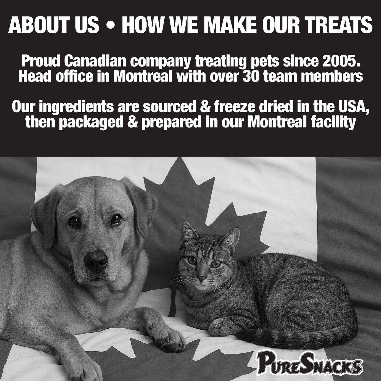 PureSnacks Freeze Dried Beef Liver Dog Treats, 410g