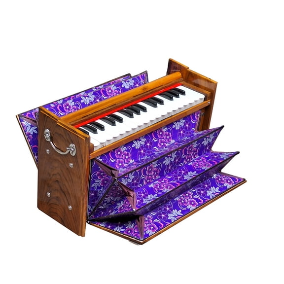 Dulcetina Harmonium by Ganpati Musicals~2 Octaves~32 Keys~Teak Wood~440 Hz