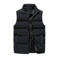 thumbnail image 1 of Men's Quilted Vest For Warmth s202412247838, 1 of 2