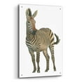 thumbnail image 2 of Epic Art 'Wild and Free VI' by James Wiens, Acrylic Glass Wall Art, 24"x36", 2 of 8
