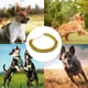 thumbnail image 5 of Joyería y accesorios ajustables del animal doméstico del collar de cadena del animal doméstico del collar de cadena de oro del metal, 5 of 5