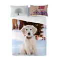 thumbnail image 1 of Gouchee Home Tommy Queen Duvet Cover Set – 3‑Piece OEKO‑TEX Certified Cotton Bedding with Winter Puppy Print, 1 of 2