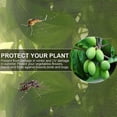 thumbnail image 3 of Red para árboles frutales (tamaño de malla de 1 x 1,5 m/0,8 mm), red protectora contra insectos, paquete de 2 redes protectoras para plantas con cordón, red para jardín, 3 of 5
