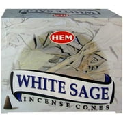White Sage Incense Cones And Cone Incense Burner Bundle Insence Insense Hem Incense