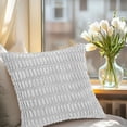 thumbnail image 4 of Clearance Under $5 Boovnll Throw Pillow Covers, Modern Stylish Soft & Cozy, Solid Color Velvet Pillow Covers 16x16" for Home, Living Room, Bedroom, Sofa, Couch, Home Decor, Pillow Covers, 4 of 6