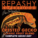 thumbnail image 3 of Repashy alimento completo para geckos Crested Gecko 85g, 3 of 3