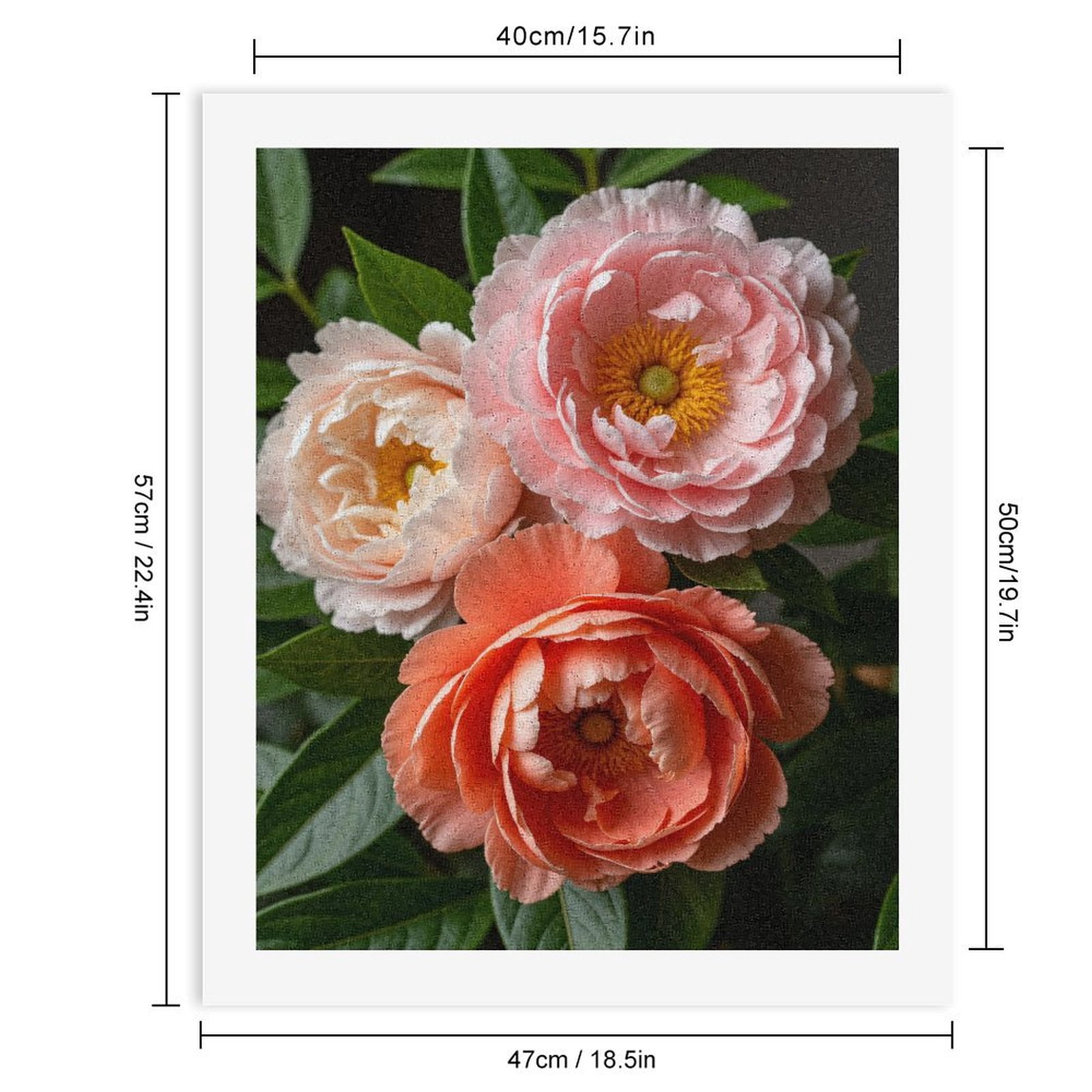 Paint by Numbers Kit for Adults, Blossom Beauty Pink Orange Peonies Paint by Numbers, Easy Paint by Numbers Kit for Adults Beginner, DIY Adult Paint by Number Kits on Canvas, 12x16in Home Decor