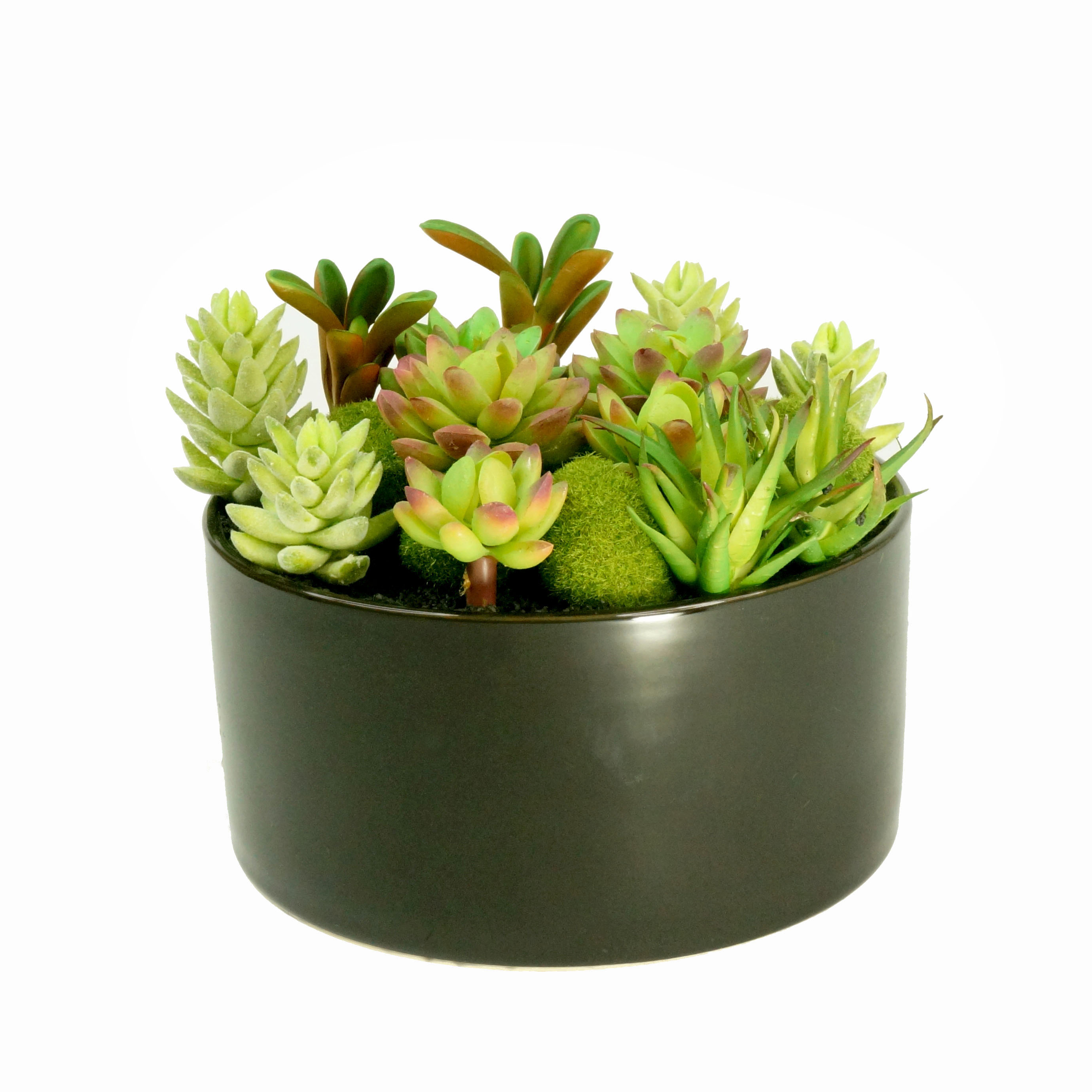 K-Cliffs Large Round Ceramic Minimalistic Faux Succulent Planter with Moss Cactus Aloe Vera | Easy Care  | Color; Black