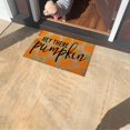 thumbnail image 5 of CasaChic Happy Decorative Doormat, Pumpkin Ghost Witch Candy Patterns, Halloween Fall Party Floor Mat, Home Indoor Outdoor Welcome Door Mat, 5 of 7