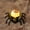 Red, variant on YingYouFu Halloween Eye Light Spider Back LED Pumpkin Light, Electronic Candle for Party Mood Decoration, Spider Night Light