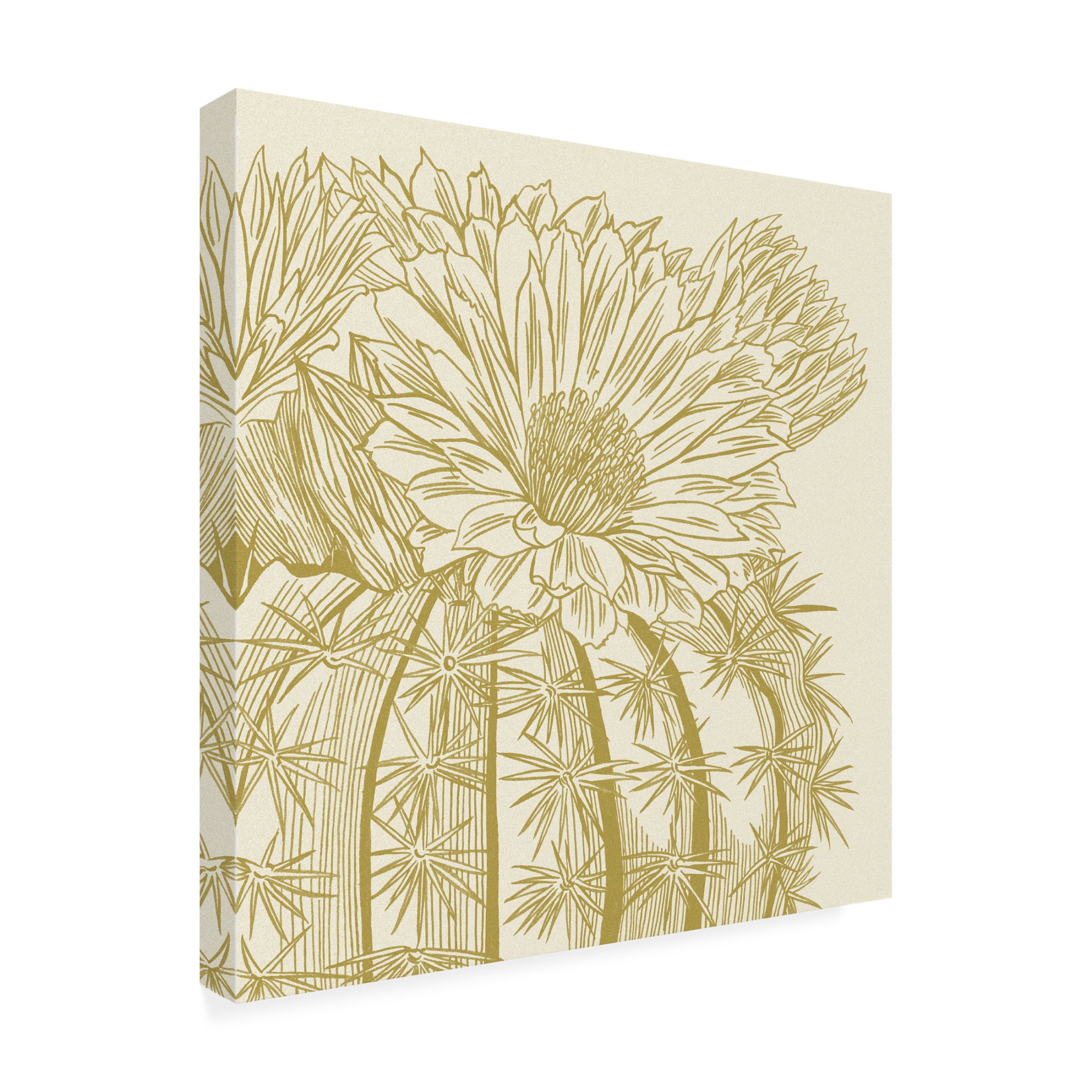 Canvas Wall Art - Melissa Wang 'Graphic Cactus Bloom II' Wall Art for Living Room, Bedroom, or Office Décor by Trademark Fine Art - 24 x 24 Inches