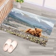 thumbnail image 5 of Highland Cow Rug, Farmhouse Rug, Trendy Rug, Animal Rug, Classic Rug, Home Decor Rug, Machine Washable Rug, Popular Rug, Luxury Rug, 2'x3' - 60x90 cm, 5 of 8