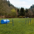 thumbnail image 4 of CHEERING PET Dog Agility Training Equipment, 28 Piece Dog Obstacle Course, Training and Interactive Play Includes Dog Tunnel, Adjustable Hurdles, Poles, Whistle, Rope Toy with Carrying Case, 4 of 4