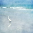 thumbnail image 2 of Zalewski, Christine 12x12 Black Ornate Wood Framed with Double Matting Museum Art Print Titled - Coastal Beach Watercolor  Landscape Egret Sea Bird I, 2 of 4