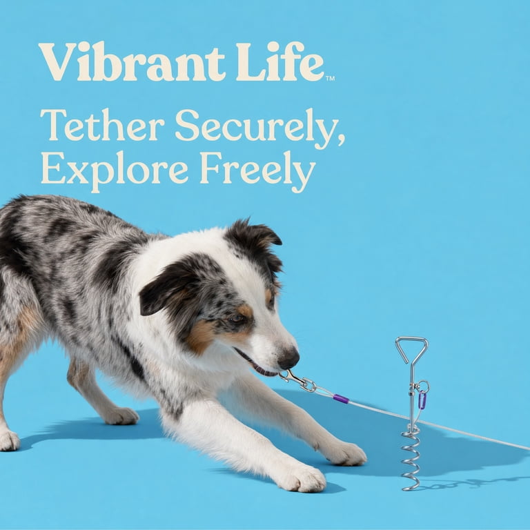 Vibrant Life Reflective Vinyl Coated Cable and Spiral Stake Set