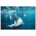 thumbnail image 1 of Picture-Tiles.com: Dolphin Ceramic Tile Wall Mural WAL500523-64S. 25.5"W x 17"H using (24) 4.25" x 4.25" Ceramic Tiles-Satin Finish, 1 of 3