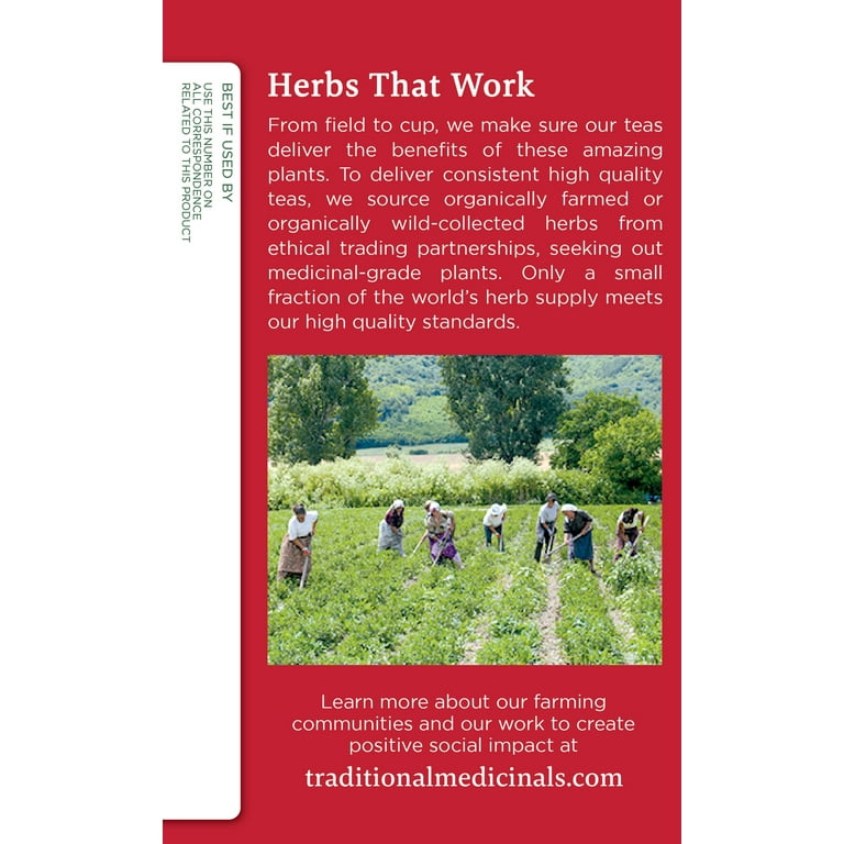 Traditional Medicinal Throat Coat Lemon Echinacea, Organic Tea Bags, 16 Count