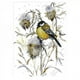 thumbnail image 2 of Kit de punto de cruz, punto de cruz contado - pájaros - cuadro de bordado, bordado 29 x 37cm 14CT, 2 of 9