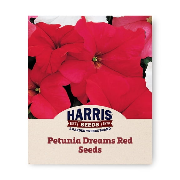 Harris Seeds Petunia Dreams Red F1, Grandiflora Blooms for Pots and Garden Beds, 50 Count