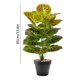 thumbnail image 3 of Artificial Potted Plants With Pot PVC Fake Tropical Plants Realistic Faux Plants For Home Office House Desk Shelf Living Room Kitchen Decoration, 3 of 6