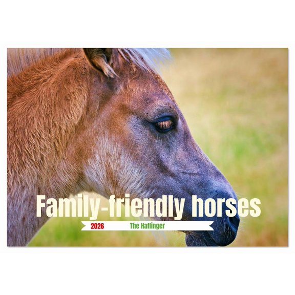 Family-friendly horses (Monthly Wall Calendar 2026 11.7 x 16.5 (open)), CALVENDO 14 Month Calendar