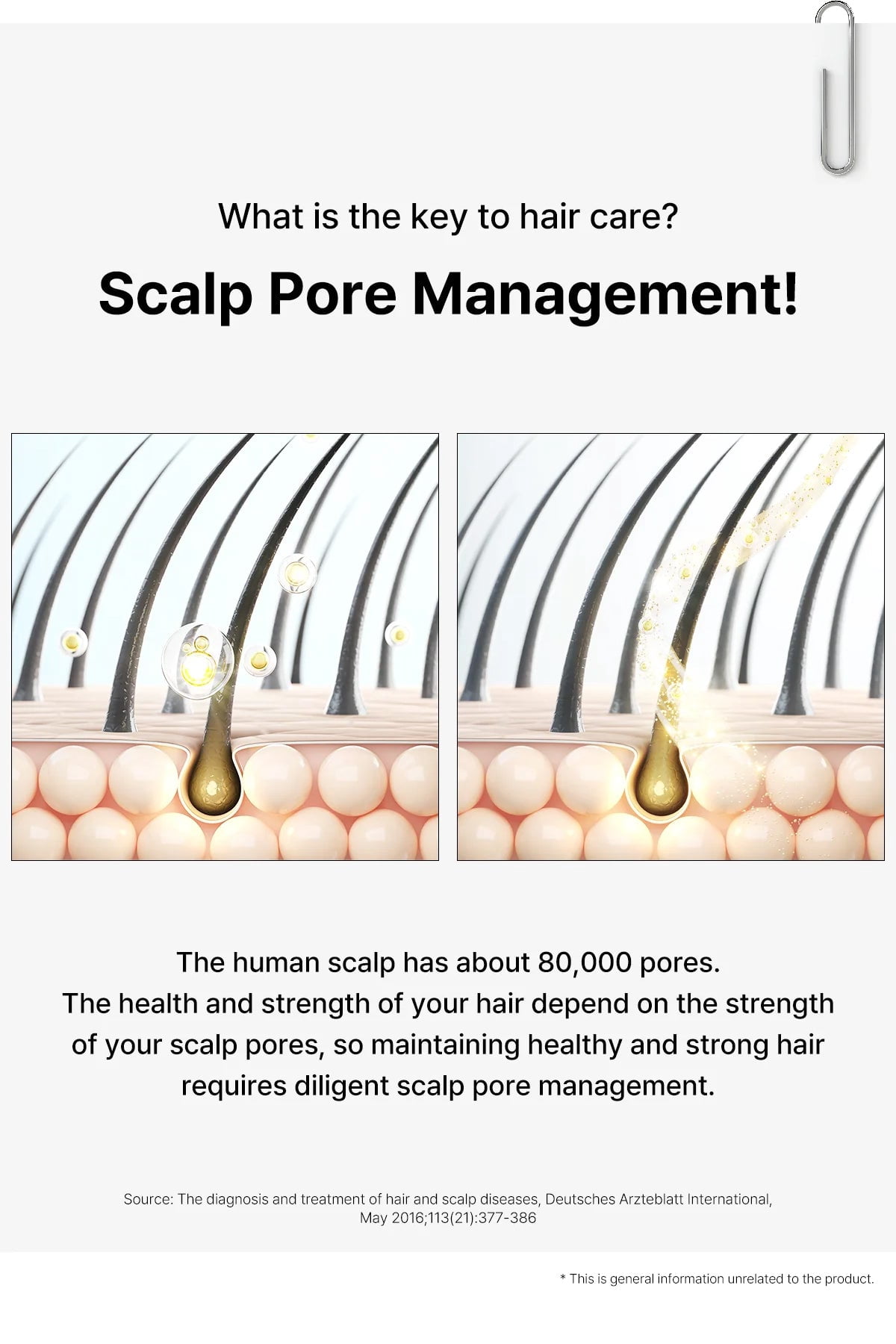 Dr. Oracle Scalp Pore Control Shampoo(3 BOX) – Deep Cleansing &amp;amp; Scalp Renewal with PDRN, Plant Proteins &amp;amp; Peptides (380ml / 12.85 fl.oz) Load image into Galle