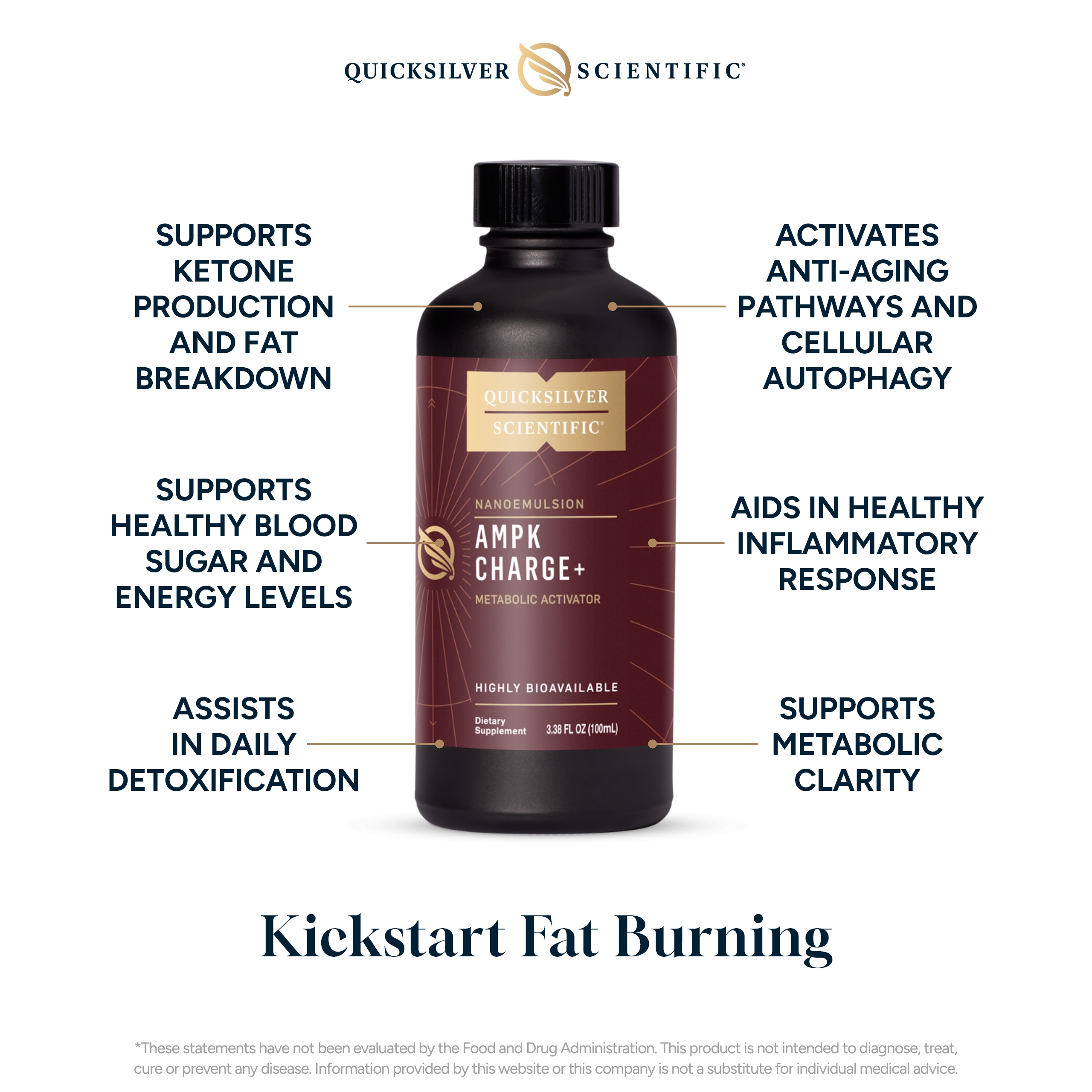 Quicksilver Scientific AMPK Charge+ - Support The Benefits of Intermittent Fasting, Carb Restrictive + Keto Protocols - Promotes Energy Production, Fat Breakdown + Healthy Aging (3.38 fl oz / 100ml)
