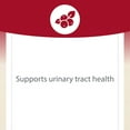 thumbnail image 5 of CranRich by Natural Factors, Super Strength Cranberry Concentrate, Antioxidant Supplement for Urinary Tract Support, Non-GMO, 180 Capsules, 5 of 10