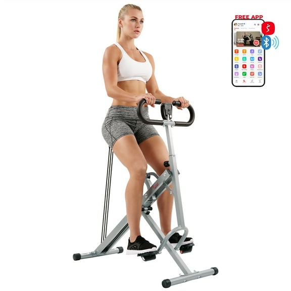 Sunny Health & Fitness Smart Upright Row-N-Ride Exerciser - NO. 077S