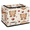 Multicolor 1, variant on ADECORIVY Beautiful Dragonfly Garden,wildflowers Fabric Storage Bin with Lid, Foldable Storage Box Decorative Cube Organizer Basket for Closet Shelf Organizing Clothes