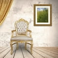 thumbnail image 3 of Popcorn 12x14 Gold Ornate Wood Framed with Double Matting Museum Art Print Titled - Wildflowers Macro I, 3 of 4