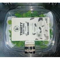 Organic Moringa Microgreens