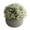 White, variant on Artificial Flowers Fake Flowers with Ceramic Vase, Artificial Boxwood Faux Plant Indoor- Topiary Small Desk Plant Decor,for Home Table Office Room Desk Bathroom Shelf Kitchen Decoration(Purple)