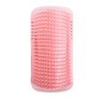 thumbnail image 1 of Cepillo de pared para mascotas y gatos, cepillo de masaje para gatos con hierba gatera, exfoliantes para gatos con cosquillas, suministros para mascotas (rosa), 1 of 5