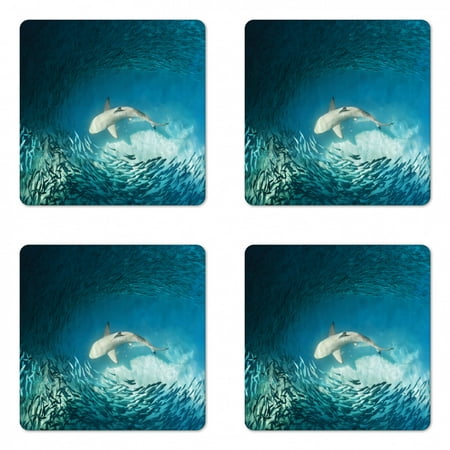 

Sea Animals Coaster Set of 4 Shark and Small Fish Ocean Wilderness Waterscape Wildlife Nature Theme Picture Square Hardboard Gloss Coasters Standard Size Teal Beige by Ambesonne