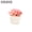 XS0005, variant on Artificial Succulent Plants Bulk - Unpotted Stems for DIY Home and Office Decor | Assorted Faux Succulents for Indoor Wall, Garden, Balcony, and Desktop Decorations