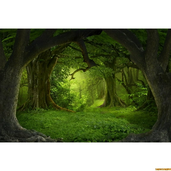 Tropical Jungle Gre Forest Backdrop for Photography Rainforest Natural Landscape Advture Photo Studio Background Custom