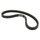 thumbnail image 1 of Banda Dentada P/Honda *684-15.5-28 "" SPARELLI 0, 1 of 2