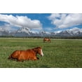 thumbnail image 2 of Galloimages Online 14x11 Gold Ornate Wood Framed with Double Matting Museum Art Print Titled - Teton Horses, 2 of 4