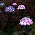 thumbnail image 3 of Solar Solar Simulation Flower Plug In Flower Light Stake LED Flower Light for Garden Lawn Yard Decor, 3 of 8