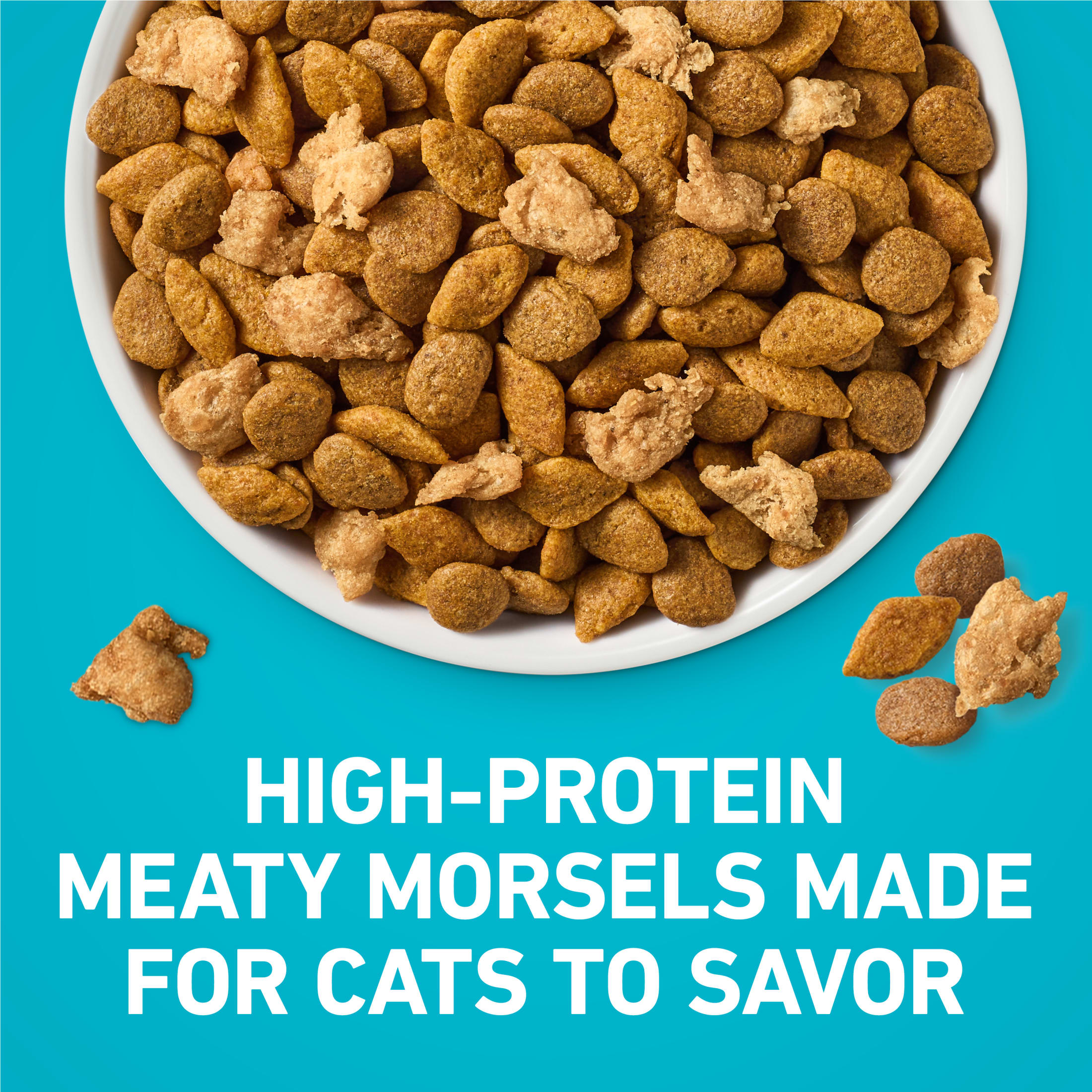 Purina ONE Tender Select Blends Dry Cat Food Chicken photo 3