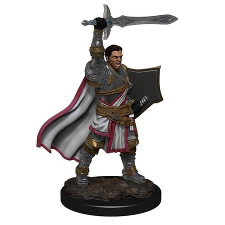 Dungeons & Dragons Nolzurs Marvelous Unpainted Miniatures - Male Human Paladin Wave 12